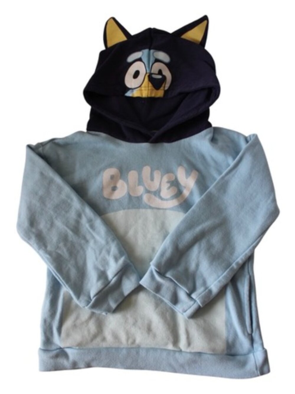 Unisex Kid's Bluey Hoodie Sweatshirt in Size 6